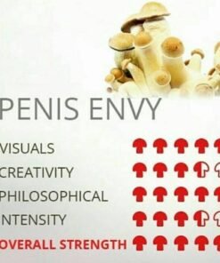 PENIS ENVY SHROOM 🍄