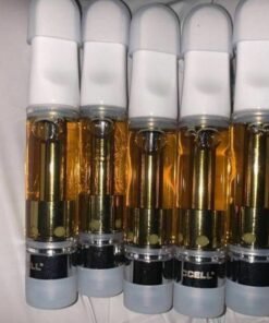 - 6a9fb4b7 313f 4e45 9434 b66363ef0ba3 DMT VAPE CARTRIDGE