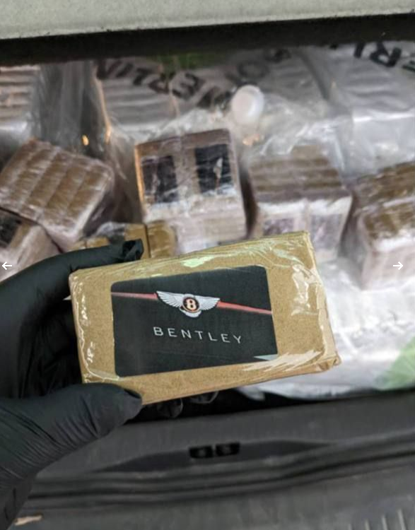 - Bentley Mouse Bentley Mousse Hash Bentley Mousse Hash