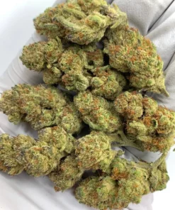 Grapes N Cream Premium Hybrid Strain  30-35% THC