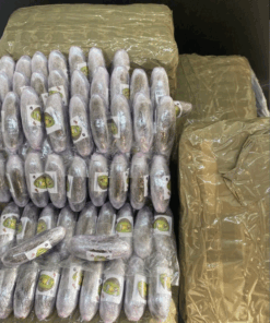 - Kiwi hash egg Psychedelic Treats EU | Discreet Online Retailer