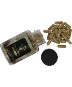 - Lions Mane Hericium Erinaceu Psychedelic Treats EU | Discreet Online Retailer