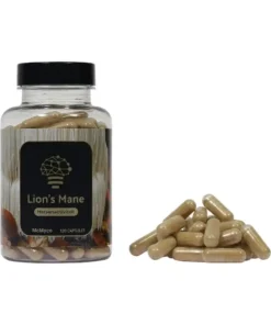 - Lions Mane Hericium Erinaceus 1 Lion’s Mane Hericium Erinaceus