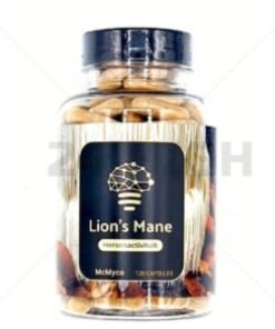 Lion’s Mane Hericium Erinaceus