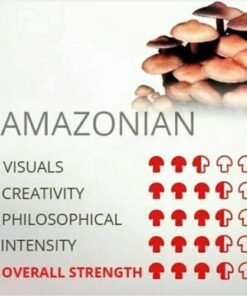 AMAZONIAN SHROOM🍄