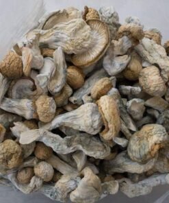 - N74fTcVBPF0lyE08w02 AMAZONIAN SHROOM🍄