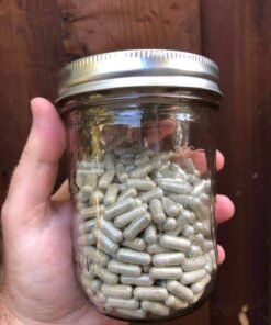 - N75I9638NPHSTipVmHs 𝐏𝐬𝐲𝐜𝐡𝐞𝐥𝐢𝐜𝐬 𝐌𝐮𝐬𝐡𝐫𝗼𝗼𝗺 𝐌𝐢𝐜𝐫𝗼𝐝𝗼𝐬𝐞