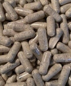 𝐏𝐬𝐲𝐜𝐡𝐞𝐥𝐢𝐜𝐬 𝐌𝐮𝐬𝐡𝐫𝗼𝗼𝗺 𝐌𝐢𝐜𝐫𝗼𝐝𝗼𝐬𝐞