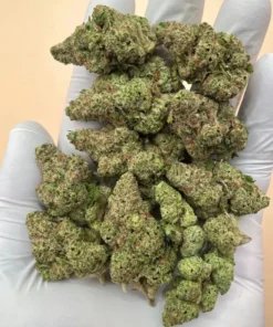 Papaya Bomb Hybrid Strain 31% THC