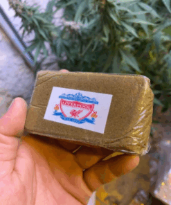 - Top Mousse Liverpool 1 Psychedelic Treats EU | Discreet Online Retailer