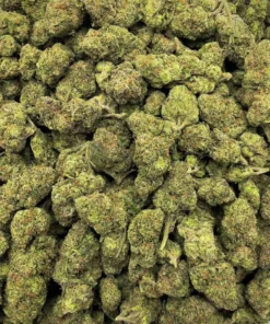 - Watermelon Blaster Potent Indica Hybrid 20 29 THC Fruity Relaxation1 Psychedelic Treats EU | Discreet Online Retailer