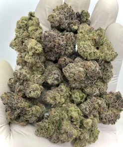 Wazabi Potent Hybrid Strain 20-33% THC