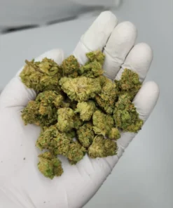 - Yellow Mermaid 13 Potent Sativa Hybrid 23 28 THC Tropical Euphoria 1 Psychedelic Treats EU | Discreet Online Retailer Yellow Mermaid Sativa Dominant Hybrid Strain 23-28% THC.