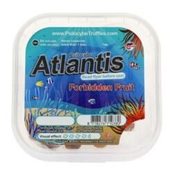 Atlantis Magic Truffles