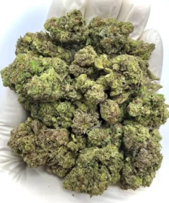 Joker’s Candy Hybrid Strain 27–29% THC.
