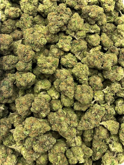 - img 2378 Laughing Gas Hybrid Cannabis Strain THC 21-24% Laughing Gas Hybrid Cannabis Strain THC 21-24% - Image 2