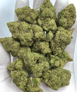 Pink Certz Cannabis Strain 14% to 24%.