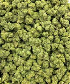 - img 2386 Psychedelic Treats EU | Discreet Online Retailer