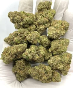 Bubble Bath Indica Dominant Hybrid Strain THC 21% to 28%