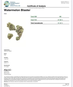 - img 2487 Watermelon Blaster Indica Dominant Hybrid 20-29% THC