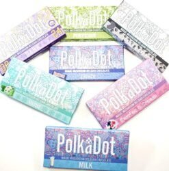 Polkadot Mushroom Bar