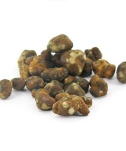 - psilocybe pajaritos 2 Psilocybe Pajaritos Truffles