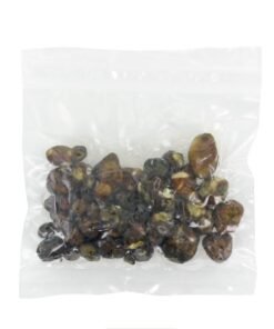 - psilocybe pajaritos 4 Psilocybe Pajaritos Truffles