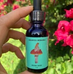 Red cap mushroom microdose 1 oz